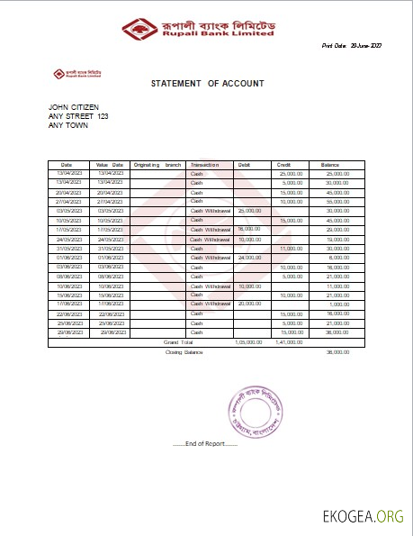 Modèle Word et PDF de faux relevé bancaire de India Rupali Limited